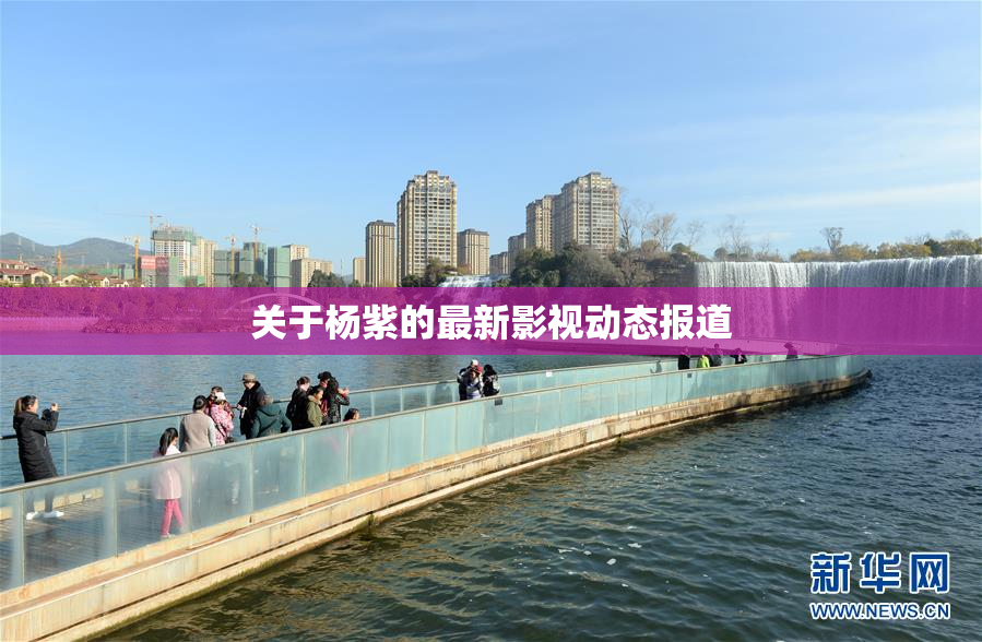 关于杨紫的最新影视动态报道