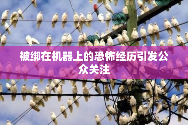 被绑在机器上的恐怖经历引发公众关注