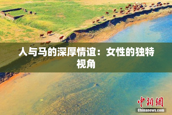 人与马的深厚情谊：女性的独特视角