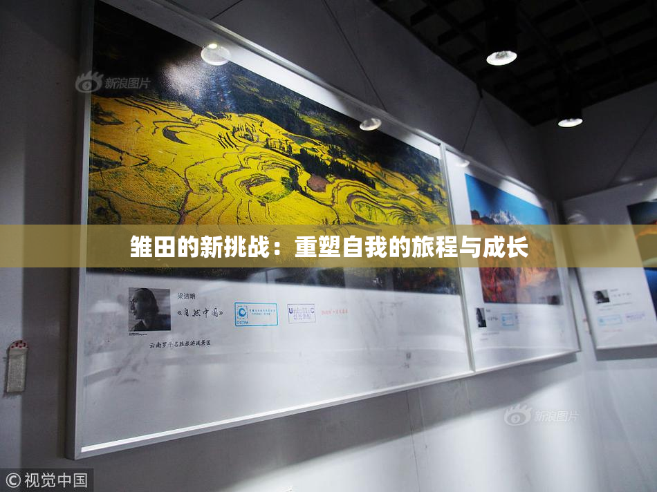 雏田的新挑战：重塑自我的旅程与成长