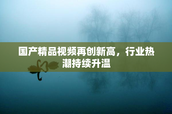 国产精品视频再创新高，行业热潮持续升温