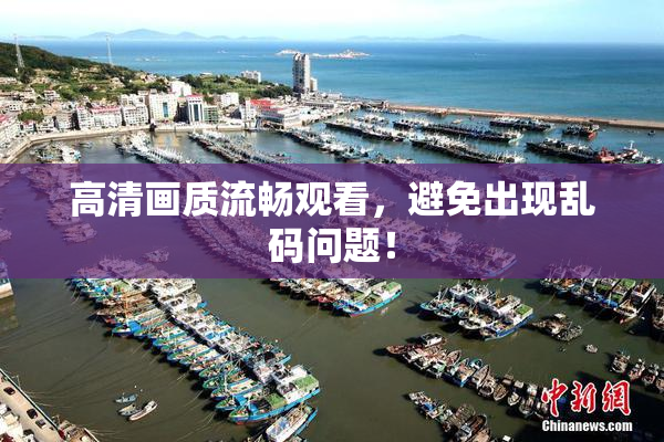 高清画质流畅观看，避免出现乱码问题！