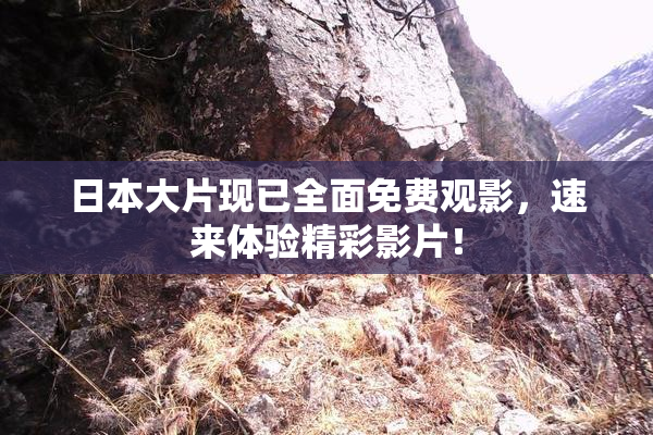 日本大片现已全面免费观影，速来体验精彩影片！