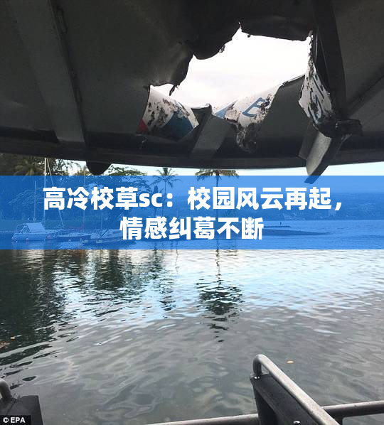 高冷校草sc：校园风云再起，情感纠葛不断