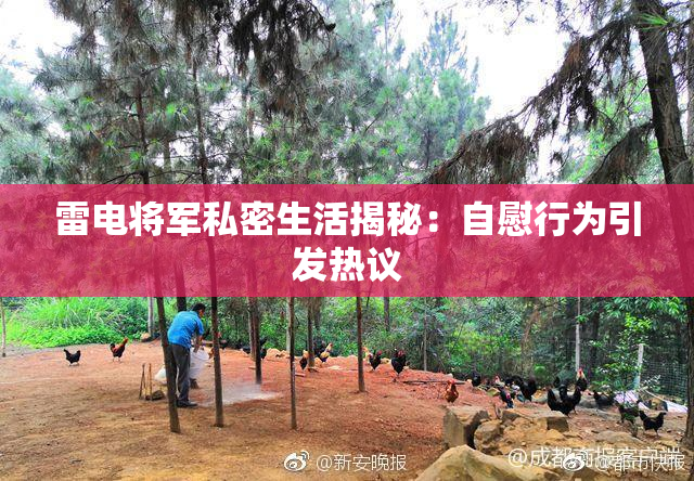 雷电将军私密生活揭秘：自慰行为引发热议