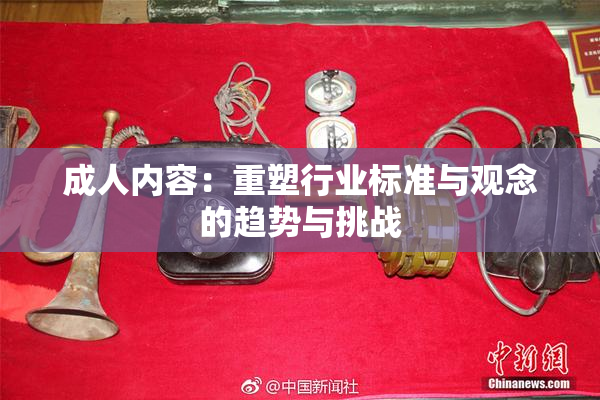 成人内容：重塑行业标准与观念的趋势与挑战