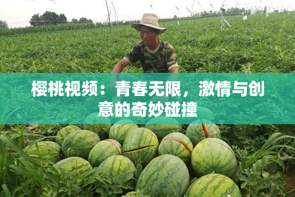 樱桃视频：青春无限，激情与创意的奇妙碰撞
