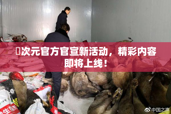囧次元官方官宣新活动，精彩内容即将上线！