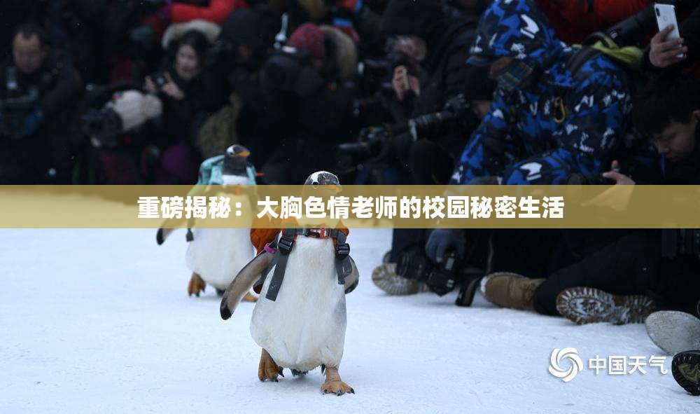 重磅揭秘：大胸色情老师的校园秘密生活