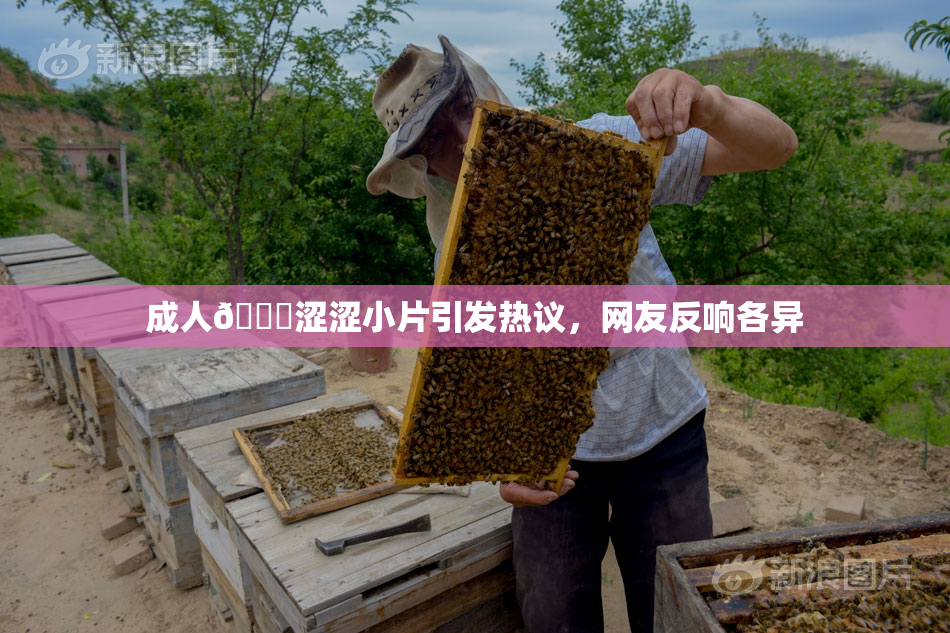 成人🔞涩涩小片引发热议，网友反响各异