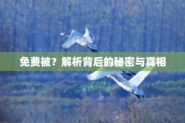 免费被？解析背后的秘密与真相