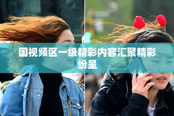 国视频区一级精彩内容汇聚精彩纷呈