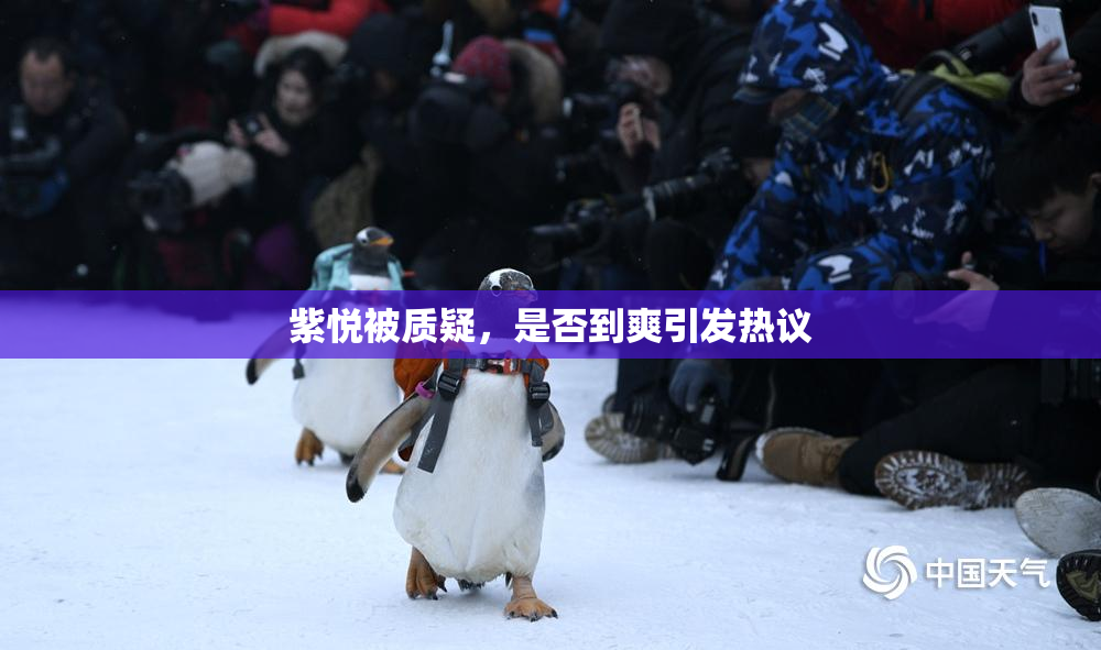 紫悦被质疑，是否到爽引发热议