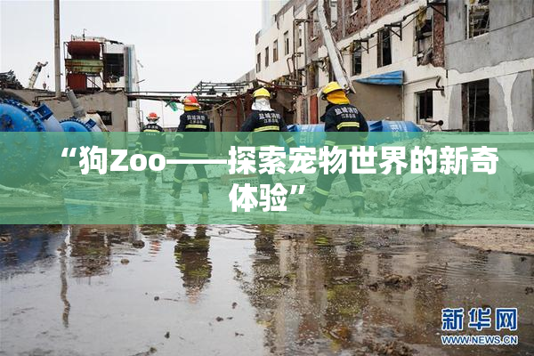 “狗Zoo——探索宠物世界的新奇体验”