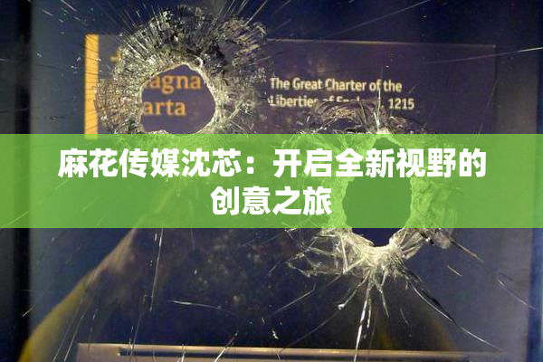 麻花传媒沈芯：开启全新视野的创意之旅