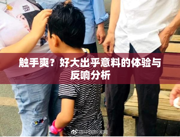 触手爽？好大出乎意料的体验与反响分析