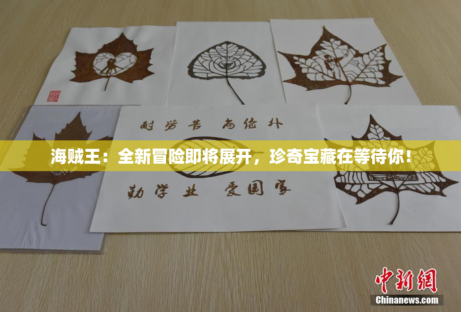 海贼王：全新冒险即将展开，珍奇宝藏在等待你！