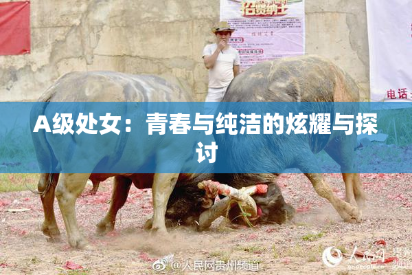 A级处女：青春与纯洁的炫耀与探讨