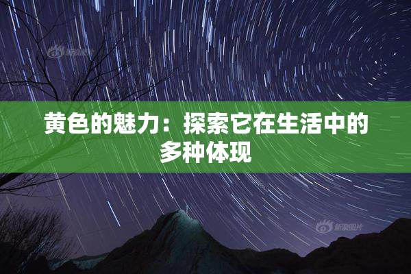 黄色的魅力：探索它在生活中的多种体现