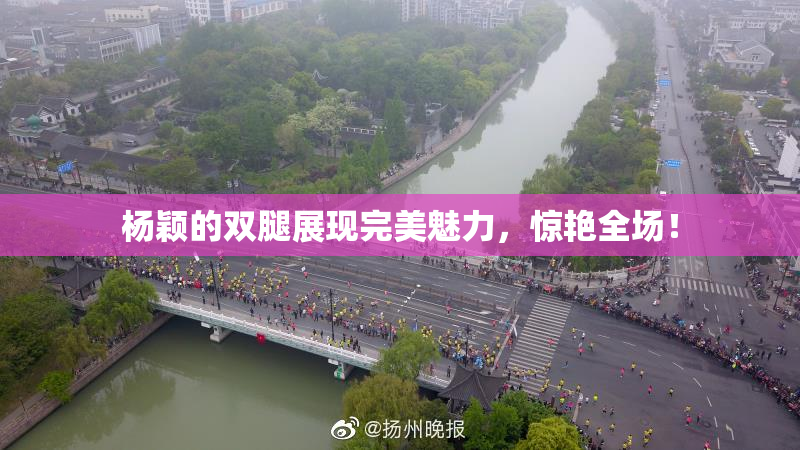 杨颖的双腿展现完美魅力，惊艳全场！