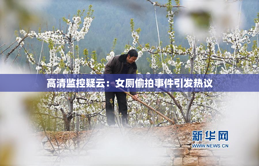 高清监控疑云：女厕偷拍事件引发热议