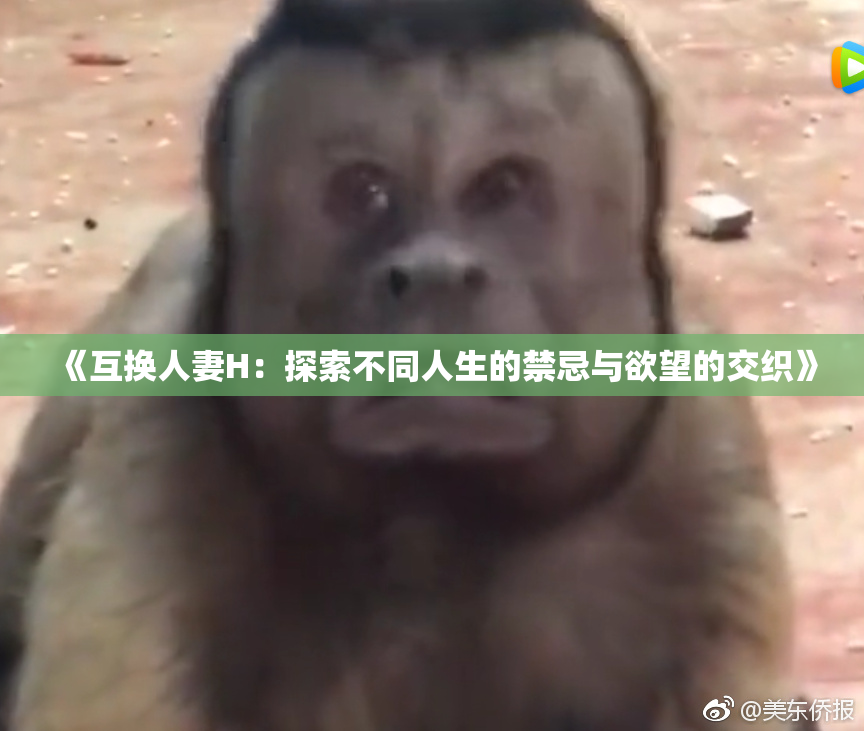 《互换人妻H：探索不同人生的禁忌与欲望的交织》