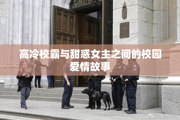 高冷校霸与甜惑女主之间的校园爱情故事