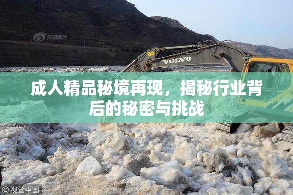 成人精品秘境再现，揭秘行业背后的秘密与挑战