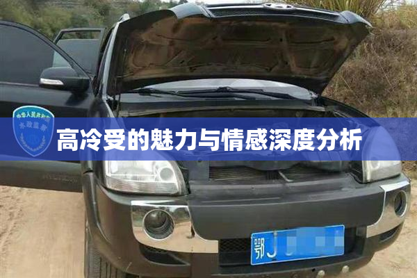 高冷受的魅力与情感深度分析