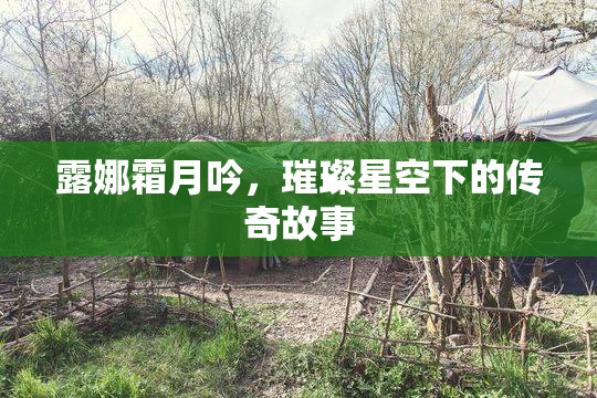 露娜霜月吟，璀璨星空下的传奇故事