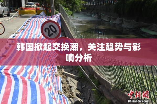 韩国掀起交换潮，关注趋势与影响分析