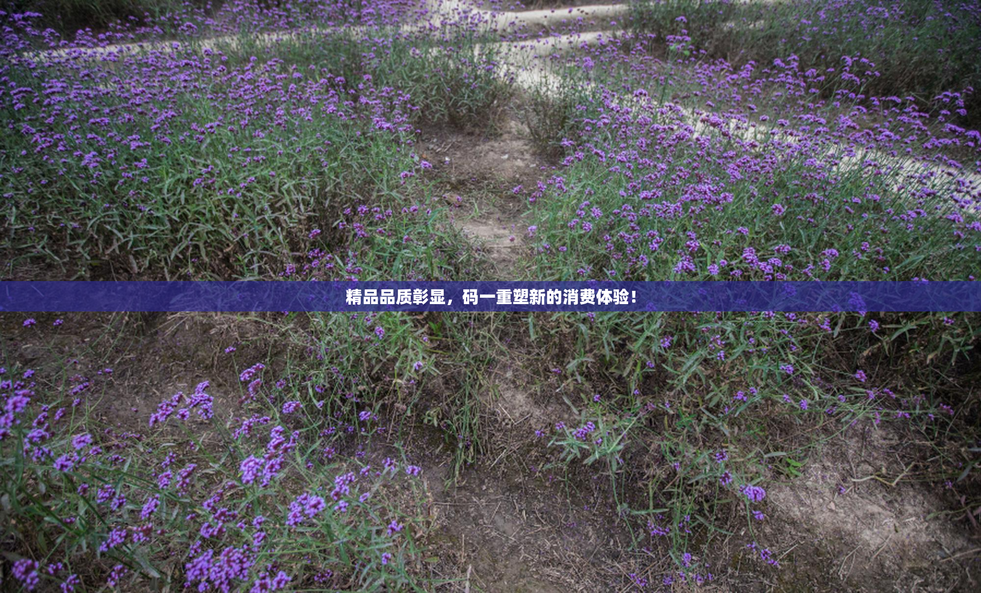 精品品质彰显，码一重塑新的消费体验！