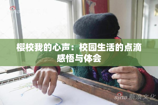 樱校我的心声：校园生活的点滴感悟与体会