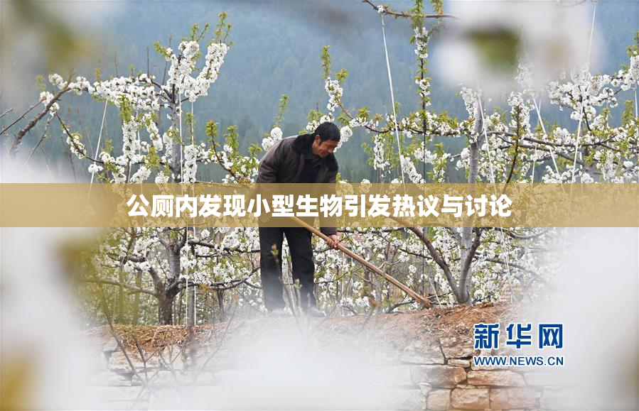 公厕内发现小型生物引发热议与讨论