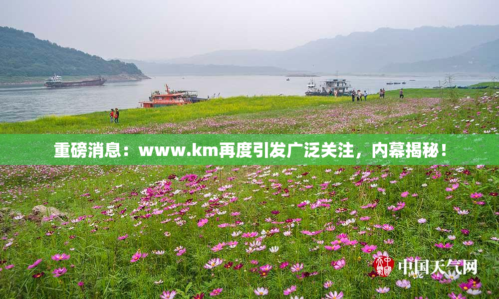 重磅消息：www.km再度引发广泛关注，内幕揭秘！
