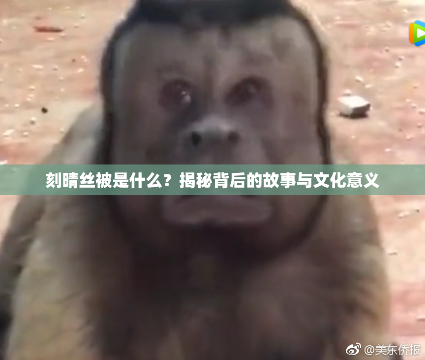 刻晴丝被是什么？揭秘背后的故事与文化意义