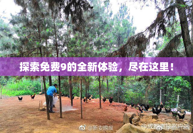 探索免费9的全新体验，尽在这里！