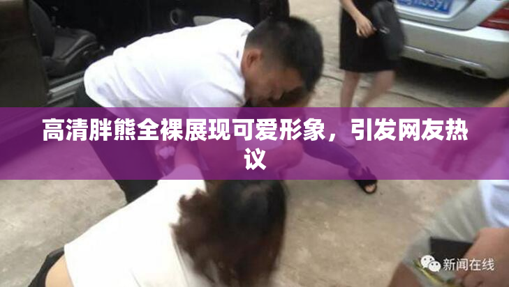 高清胖熊全裸展现可爱形象，引发网友热议