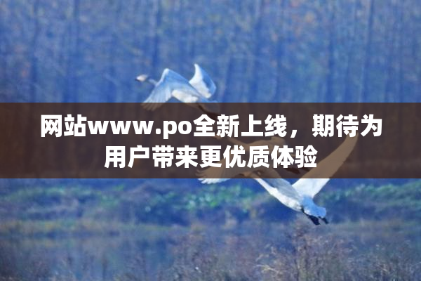 网站www.ро全新上线，期待为用户带来更优质体验