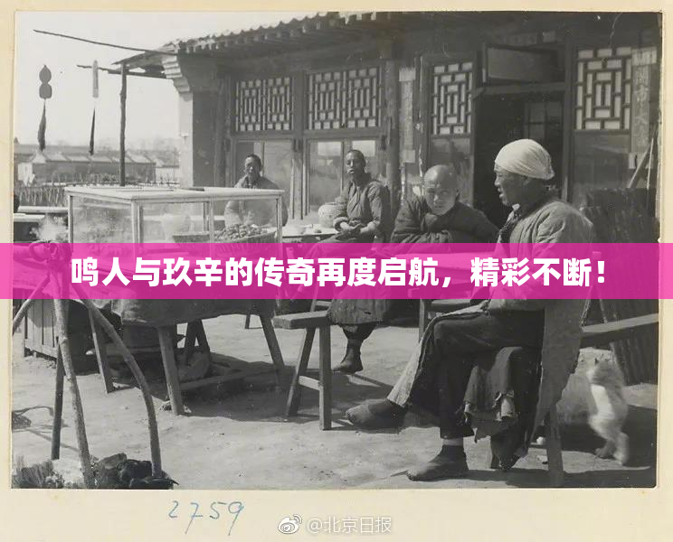 鸣人与玖辛的传奇再度启航，精彩不断！