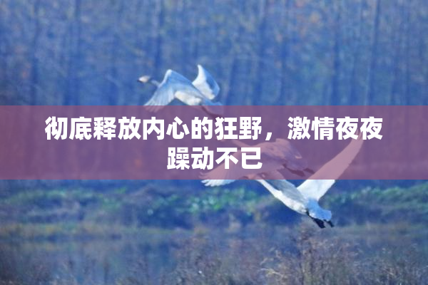 彻底释放内心的狂野，激情夜夜躁动不已