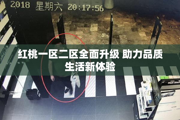 红桃一区二区全面升级 助力品质生活新体验