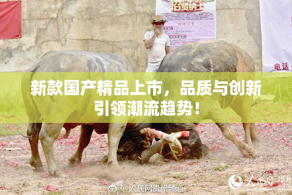 新款国产精品上市，品质与创新引领潮流趋势！