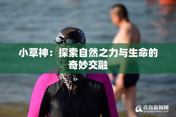 小草神：探索自然之力与生命的奇妙交融