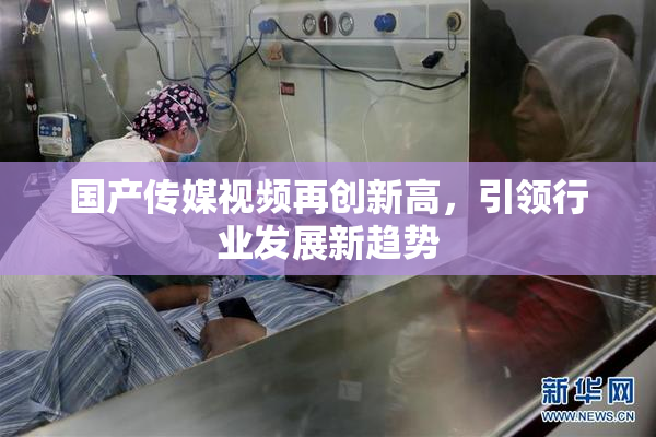 国产传媒视频再创新高，引领行业发展新趋势