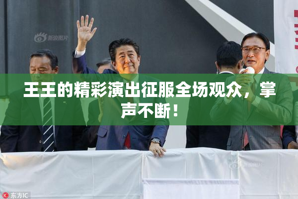 王王的精彩演出征服全场观众，掌声不断！