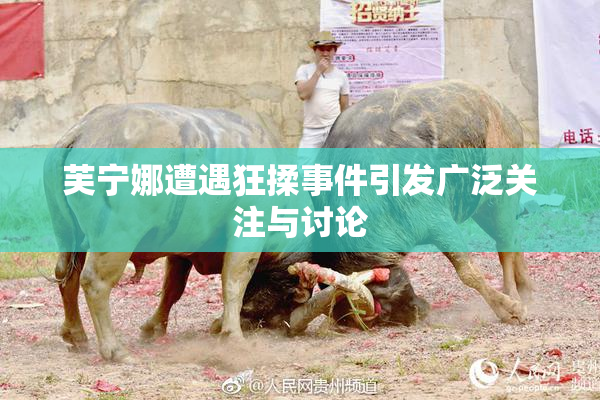 芙宁娜遭遇狂揉事件引发广泛关注与讨论