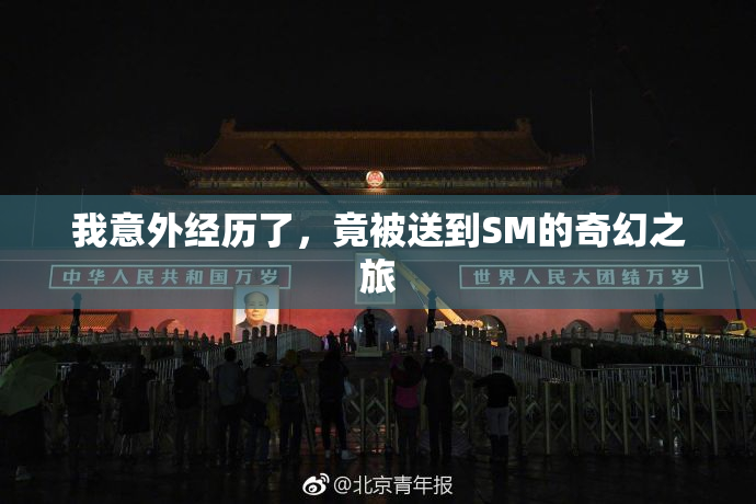 我意外经历了，竟被送到SM的奇幻之旅