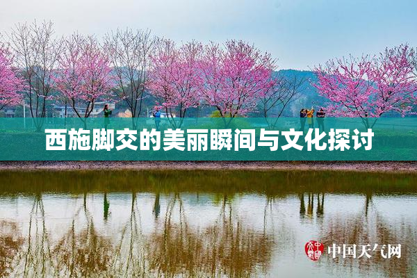 西施脚交的美丽瞬间与文化探讨