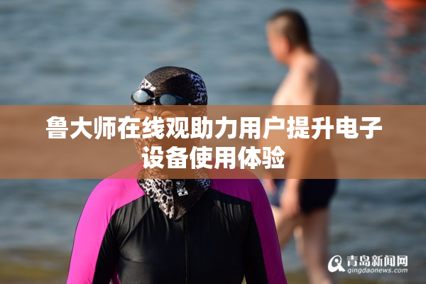 鲁大师在线观助力用户提升电子设备使用体验